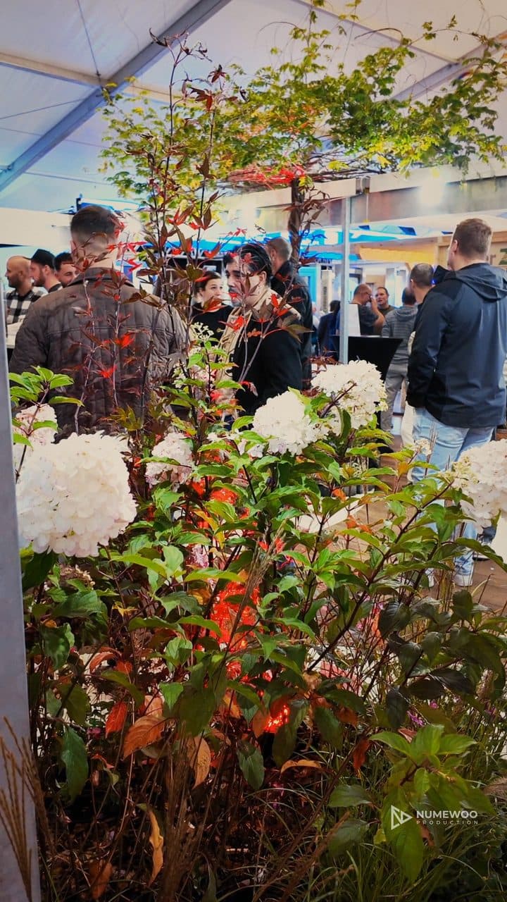 Pins taillés éclairés de rouge et massifs fleuris, sur le stand-jardin de Pury Paysagistes à l'Expo de Coss